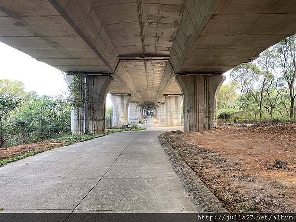 20210321_010532879_iOS