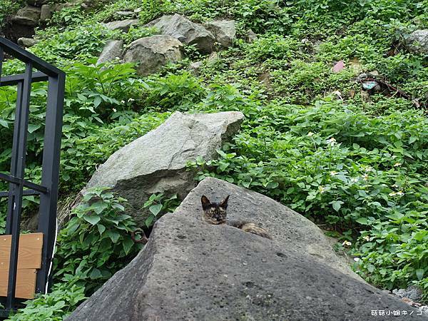 DSC01188.JPG DSC01188.JPG