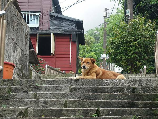 DSC01189.JPG DSC01189.JPG