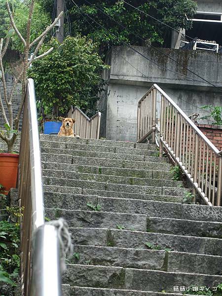 DSC01183.JPG DSC01183.JPG