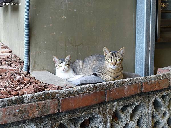 DSC01171.JPG DSC01171.JPG