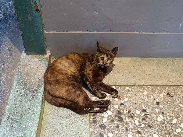 DSC01192.JPG DSC01192.JPG