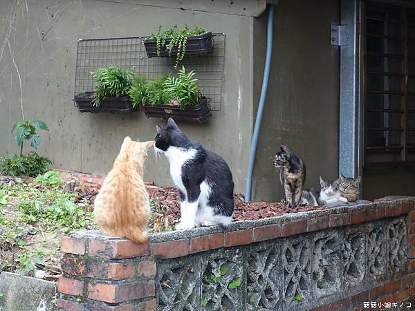 DSC01210.JPG DSC01210.JPG