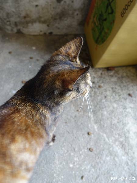 DSC01170.JPG DSC01170.JPG