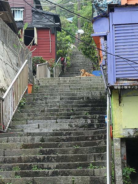 DSC01137.JPG DSC01137.JPG