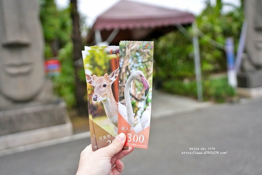 高雄泰菜攻略！夜泰美淨園農場店玻璃屋包廂超有Fu，親子同遊的好去處。