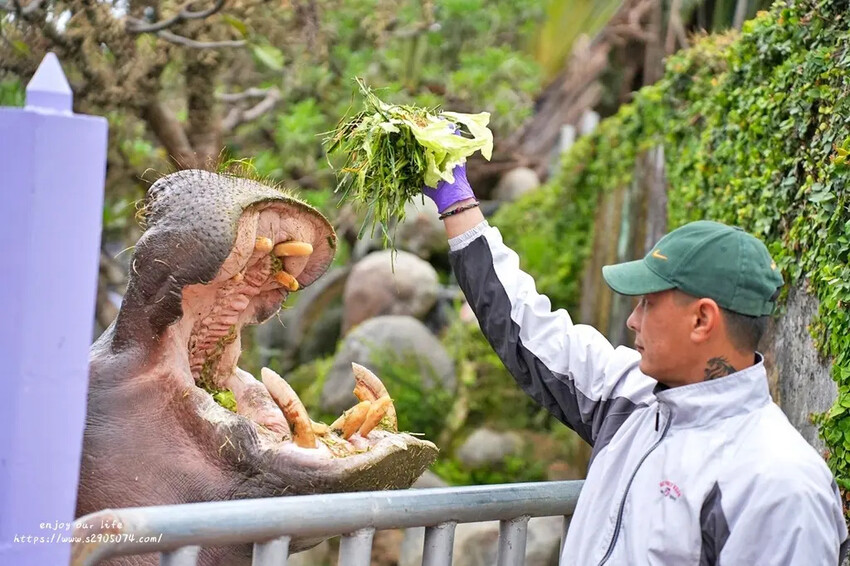 高雄泰菜攻略！夜泰美淨園農場店玻璃屋包廂超有Fu，親子同遊的好去處。