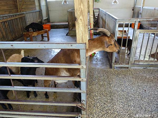 DSC01478.JPG DSC01478.JPG