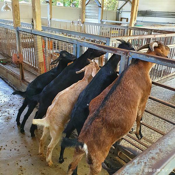 20210510_120605.jpg 20210510_120605.jpg