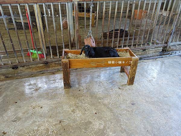 DSC01473.JPG DSC01473.JPG