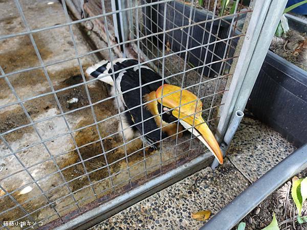 DSC01455.JPG DSC01455.JPG