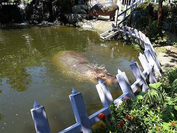 DSC01532.JPG DSC01532.JPG