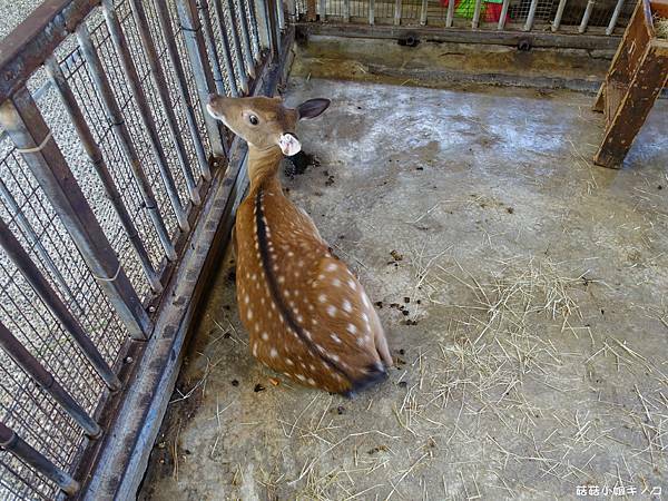 DSC01475.JPG DSC01475.JPG