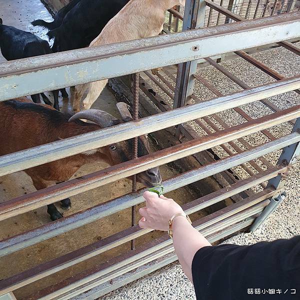 20210510_120623.jpg 20210510_120623.jpg