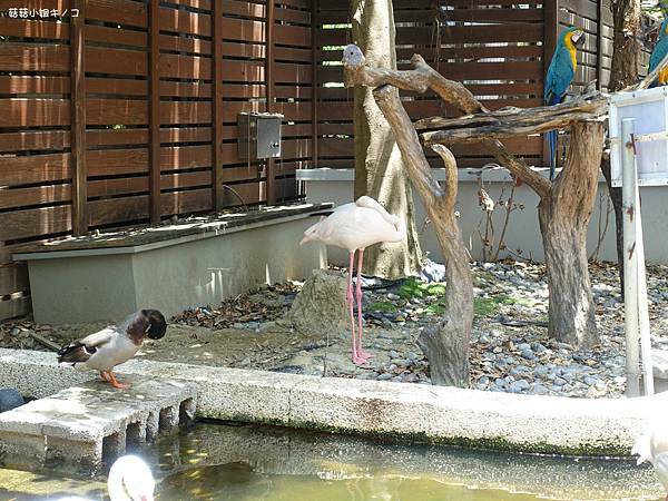 DSC01498.JPG DSC01498.JPG