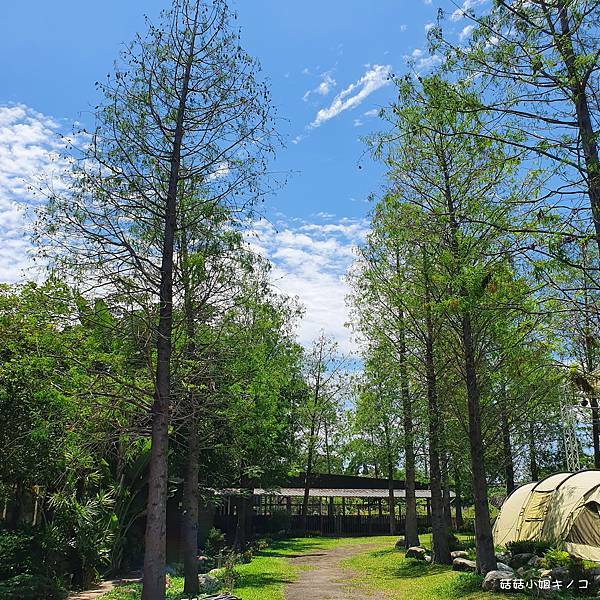 20210510_122409.jpg 20210510_122409.jpg