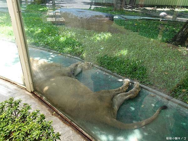 DSC01491.JPG DSC01491.JPG