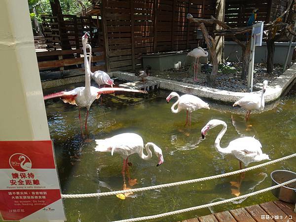 DSC01494.JPG DSC01494.JPG