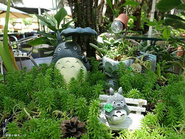 DSC01527.JPG DSC01527.JPG