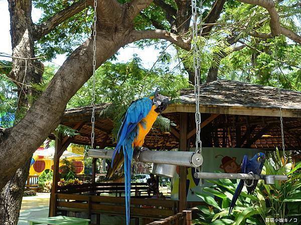 DSC01509.JPG DSC01509.JPG