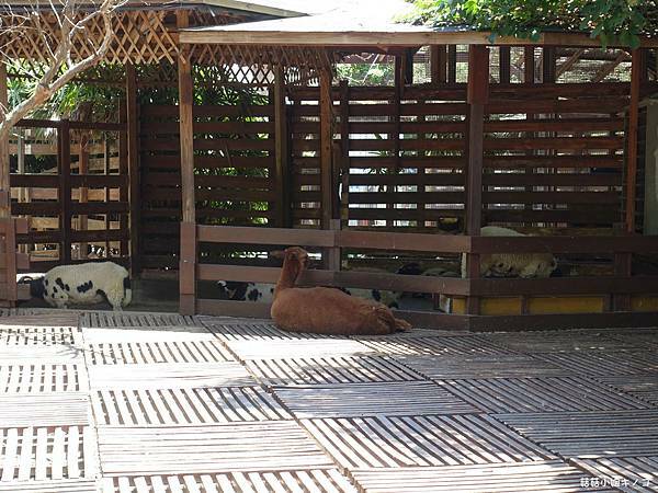 DSC01500.JPG DSC01500.JPG