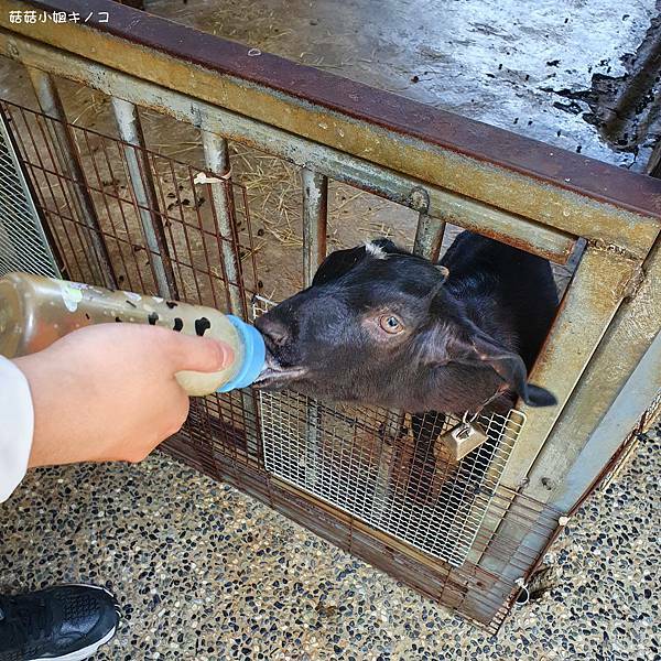 20210510_115803.jpg 20210510_115803.jpg