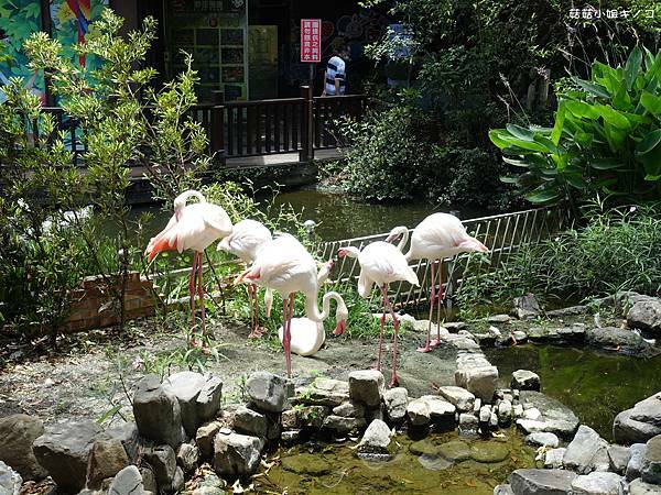 DSC01448.JPG DSC01448.JPG