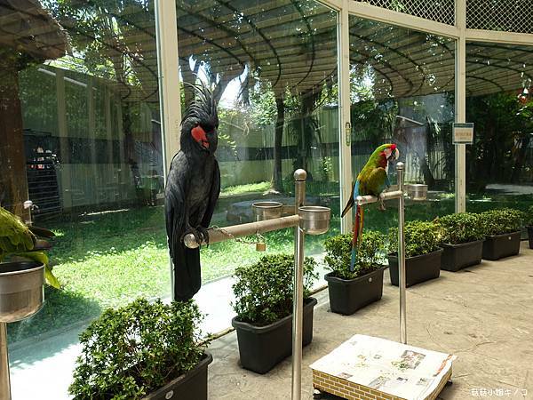 DSC01486.JPG DSC01486.JPG