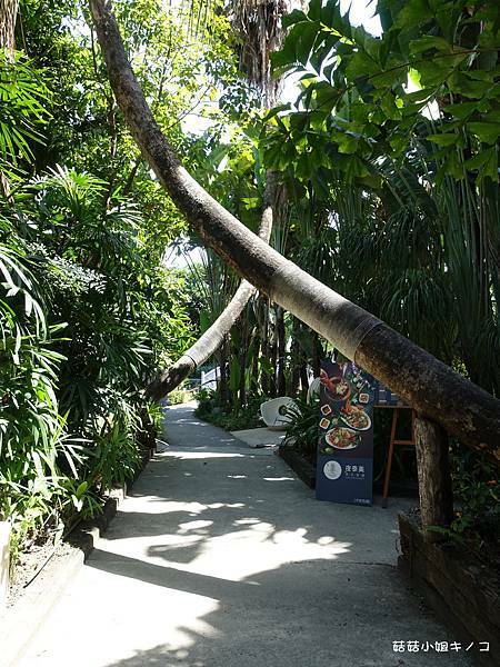 DSC01519.JPG DSC01519.JPG