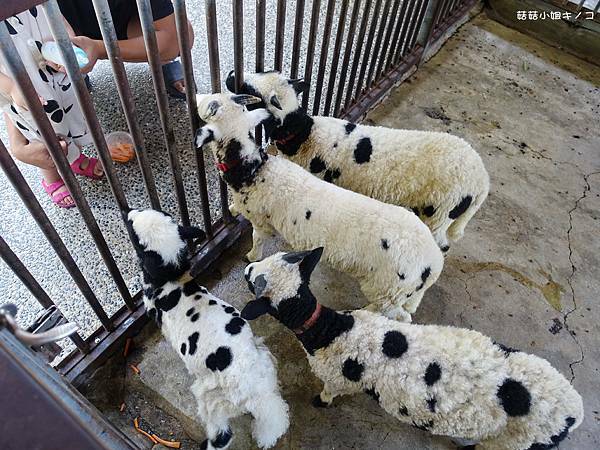 DSC01471.JPG DSC01471.JPG