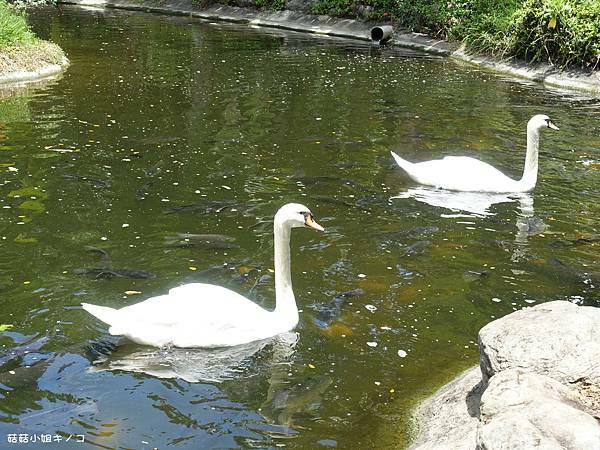 DSC01443.JPG DSC01443.JPG