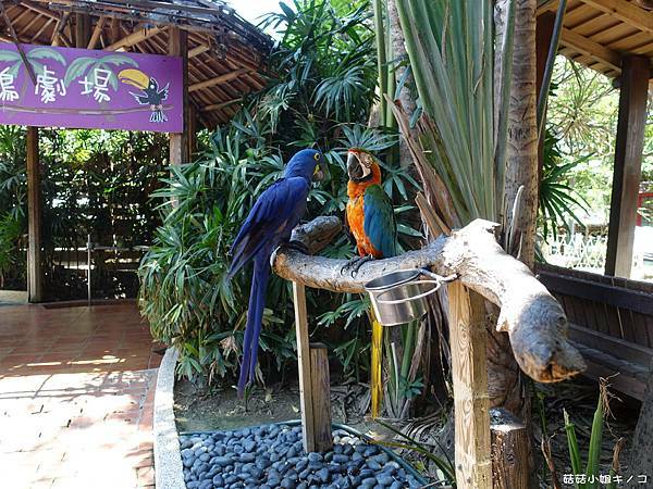 DSC01483.JPG DSC01483.JPG