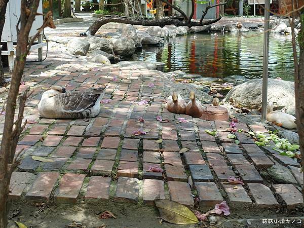 DSC01453.JPG DSC01453.JPG