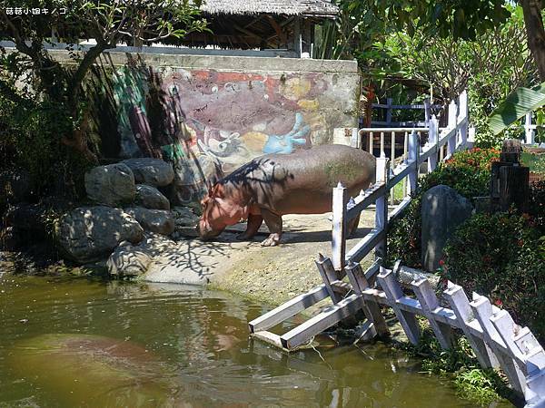 DSC01530.JPG DSC01530.JPG