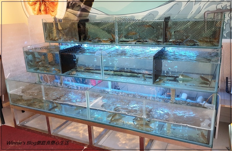 川將蝦泰國活蝦主題餐廳(近林口長庚醫院&華亞科技園區 林口龜山美食) 04.jpg 川將蝦泰國活蝦主題餐廳(近林口長庚醫院&華亞科技園區 林口龜山美食) 04.jpg