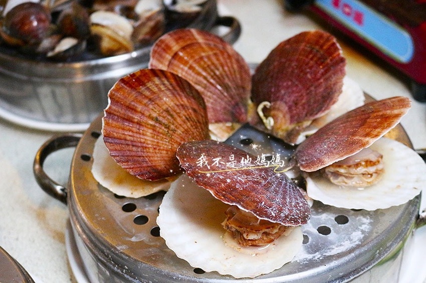 二月牌沙茶爐 二月牌沙茶爐海鮮蒸塔菜單,二月牌沙茶爐停車,二月牌 沙茶爐 2019,台南沙茶爐,雙月牌火鍋,雙月牌沙茶爐,海鮮控,新莊美食,新莊中華路美食