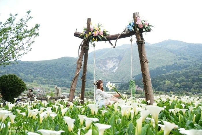 [2021陽明山最美海芋田 名陽圃休閒農莊] 海遇木屋花朵鞦韆 浪漫框住小油坑夢幻山景 - 安妮的天空