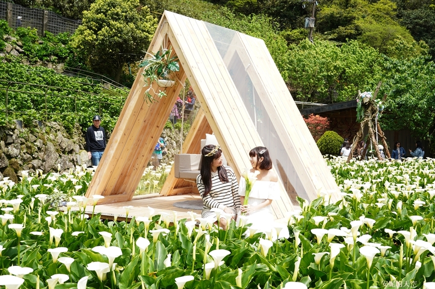 [2021陽明山最美海芋田 名陽圃休閒農莊] 海遇木屋花朵鞦韆 浪漫框住小油坑夢幻山景 - 安妮的天空