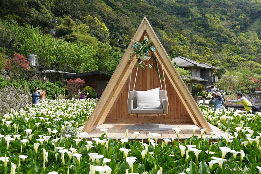 [2021陽明山最美海芋田 名陽圃休閒農莊] 海遇木屋花朵鞦韆 浪漫框住小油坑夢幻山景 - 安妮的天空