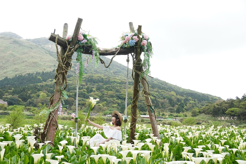 [2021陽明山最美海芋田 名陽圃休閒農莊] 海遇木屋花朵鞦韆 浪漫框住小油坑夢幻山景 - 安妮的天空