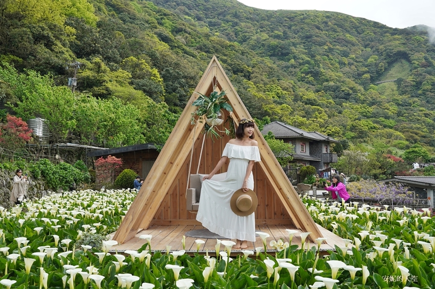 [2021陽明山最美海芋田 名陽圃休閒農莊] 海遇木屋花朵鞦韆 浪漫框住小油坑夢幻山景 - 安妮的天空