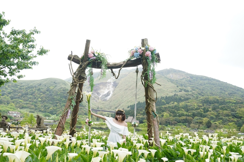 [2021陽明山最美海芋田 名陽圃休閒農莊] 海遇木屋花朵鞦韆 浪漫框住小油坑夢幻山景 - 安妮的天空
