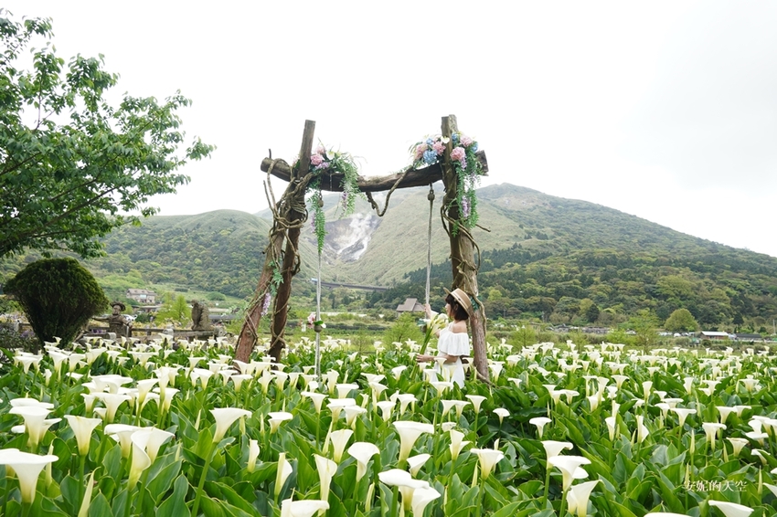 [2021陽明山最美海芋田 名陽圃休閒農莊] 海遇木屋花朵鞦韆 浪漫框住小油坑夢幻山景 - 安妮的天空