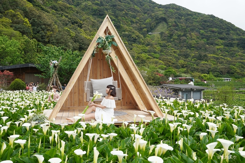 [2021陽明山最美海芋田 名陽圃休閒農莊] 海遇木屋花朵鞦韆 浪漫框住小油坑夢幻山景 - 安妮的天空