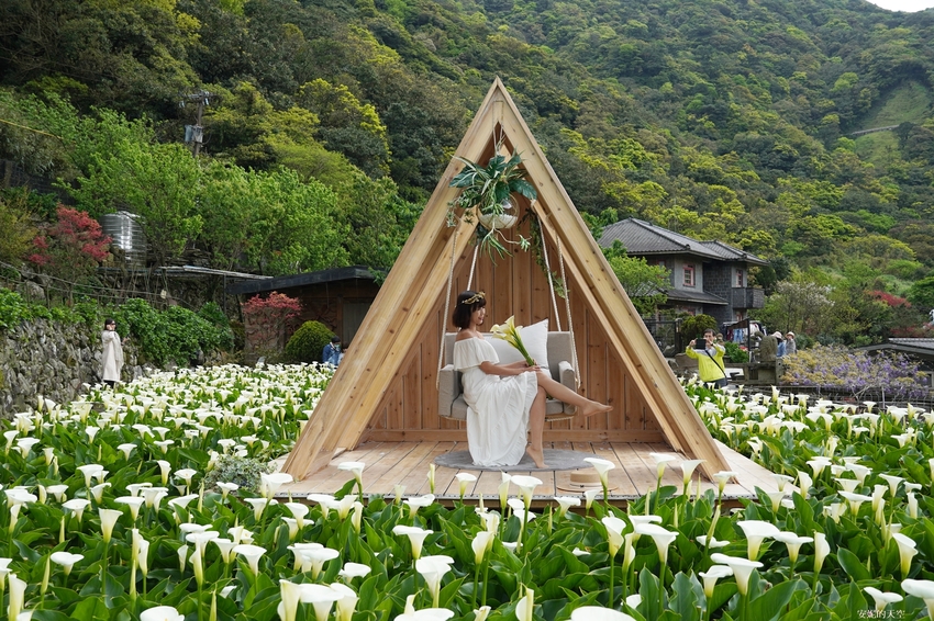 [2021陽明山最美海芋田 名陽圃休閒農莊] 海遇木屋花朵鞦韆 浪漫框住小油坑夢幻山景 - 安妮的天空