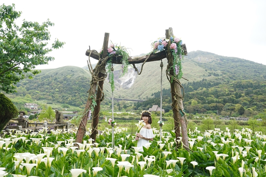 [2021陽明山最美海芋田 名陽圃休閒農莊] 海遇木屋花朵鞦韆 浪漫框住小油坑夢幻山景 - 安妮的天空