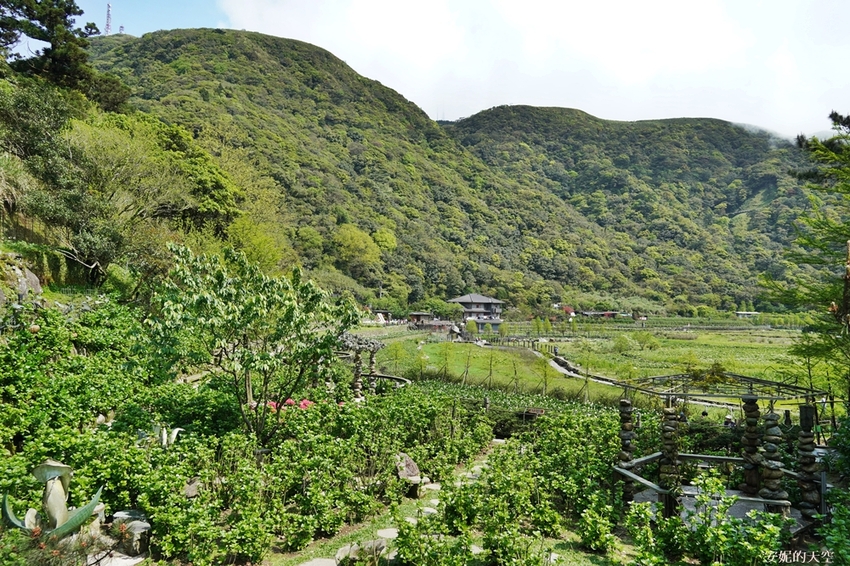 [2021陽明山最美海芋田 名陽圃休閒農莊] 海遇木屋花朵鞦韆 浪漫框住小油坑夢幻山景 - 安妮的天空