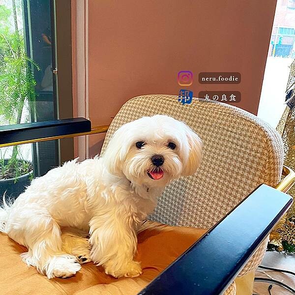 獨角獸Unicorn Cafe&Bar｜新莊咖啡廳兼酒吧推薦 @neru.foodie / 丸の良食