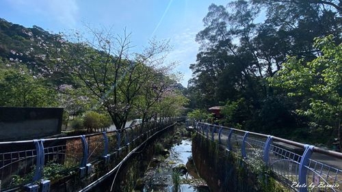 0315 平菁街93巷11.jpg