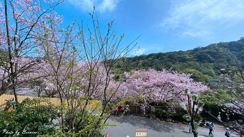 0315 平菁街93巷01.jpg